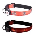 ON SALE * LED Collar and Matching Lead   *  OREGON STATE